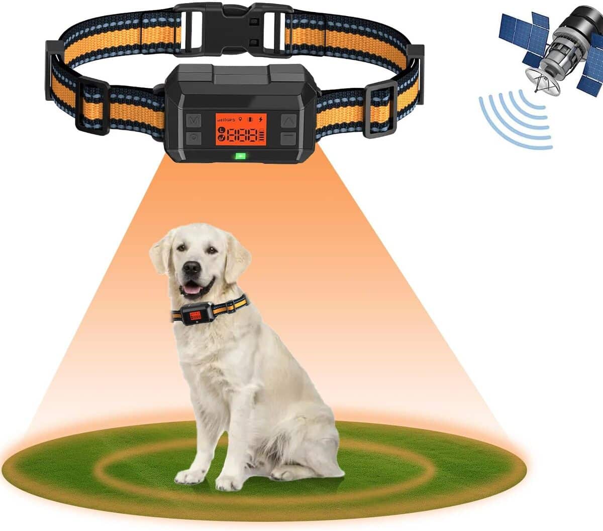 Avis : collier anti-fugue GPS amélioré et étanche pour chien