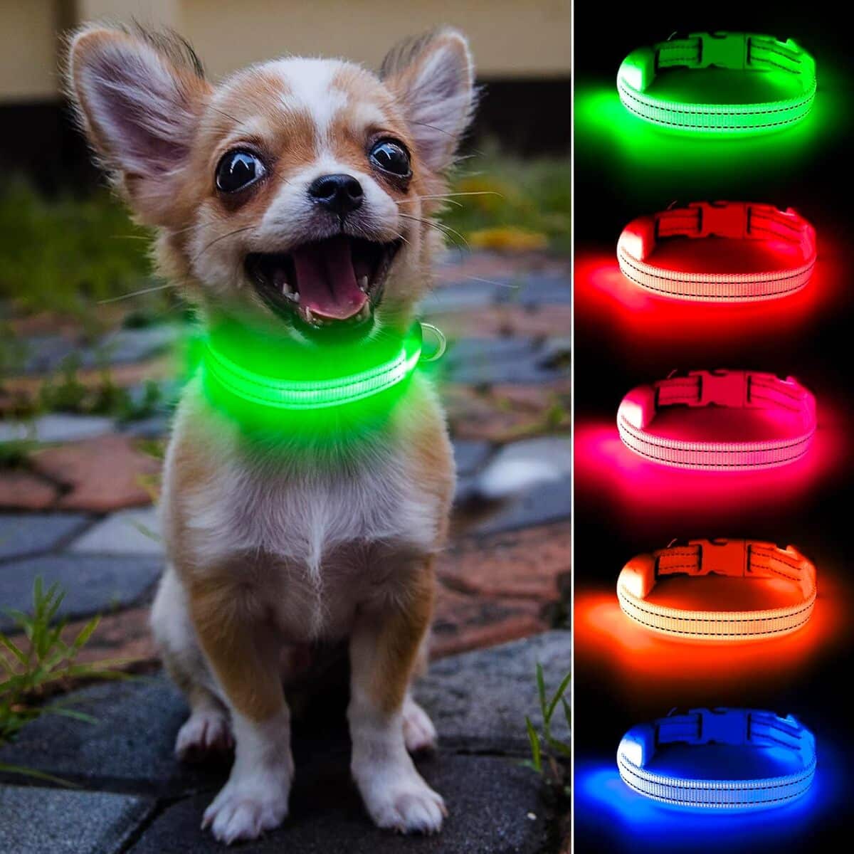Avis sur le collier LED lumineux vert pour chien et chat