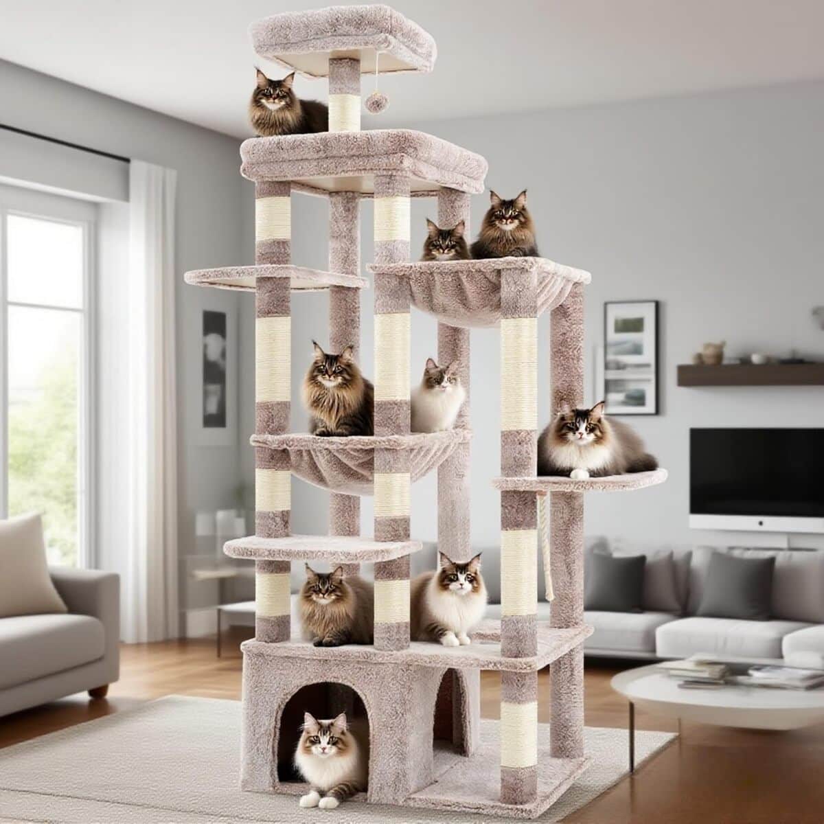 Test arbre à chat Heybly HCT037MU : confort XXL pour votre félin