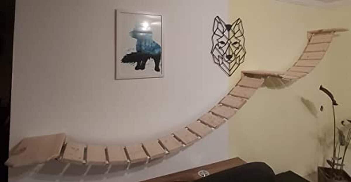 Test du parc mural MediKratz pour chats Main Coon