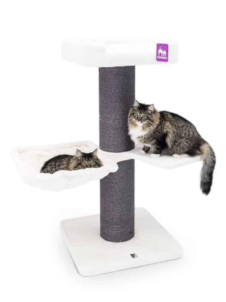 Test du Petrebels Maine Coon 117 XXL pour grands chats