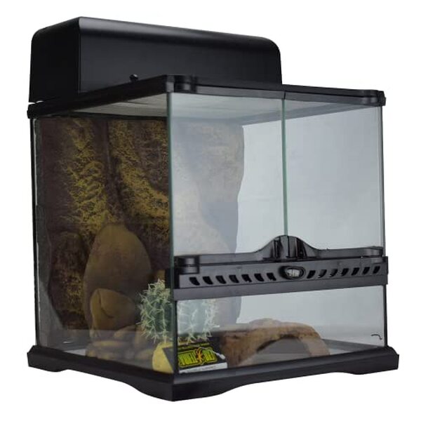 Découvrez notre analyse détaillée du terrarium désert Exo Terra PT2650 EX modèle M : avantages, utilisation et conseils pour un environnement idéal