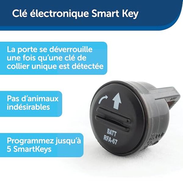Découvrez notre évaluation de la porte électronique PetSafe SmartDoor. Analyse des technologies d'accès et conseils pour sécuriser vos animaux tout en les rendant autonomes.