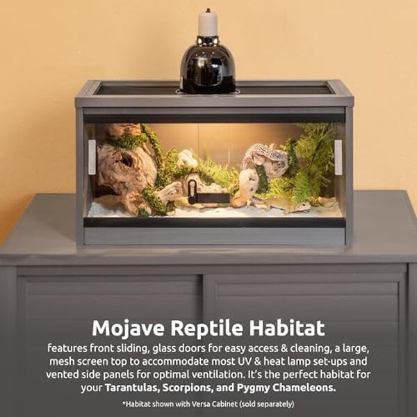 Explorez le terrarium Ecoflex Mojave de New Age Pet : un choix écologique, robuste et idéal pour vos reptiles préférés grâce à ses matériaux durables et sa conception intelligente.