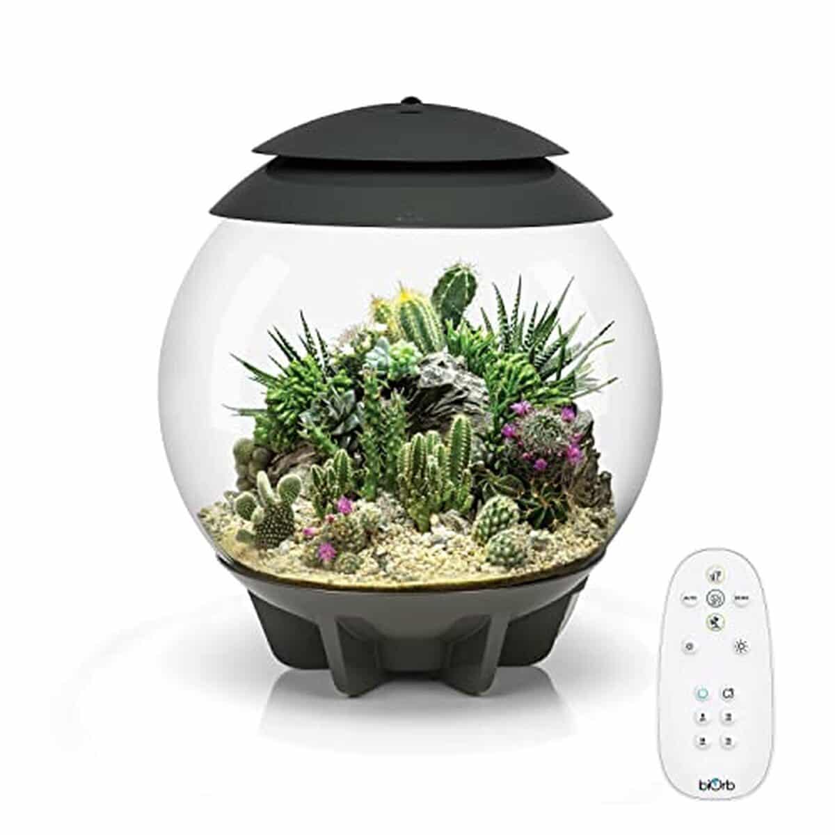 Test biOrb AIR 30 gris : mini serre innovante
