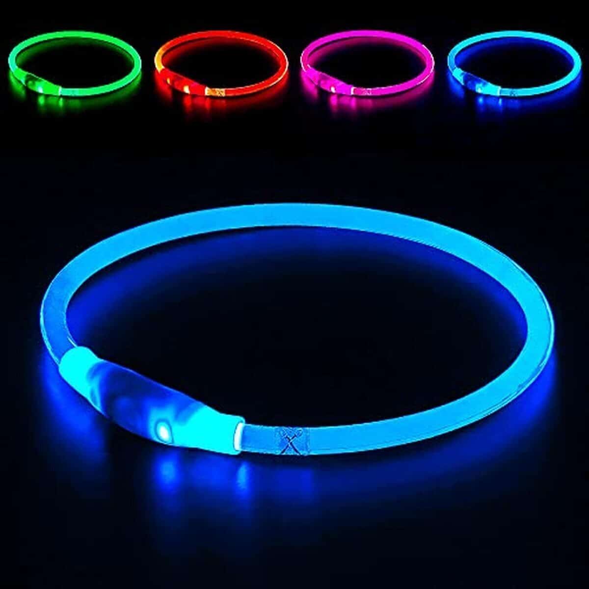 Test : collier LED lumineux pour chien, uSB rechargeable