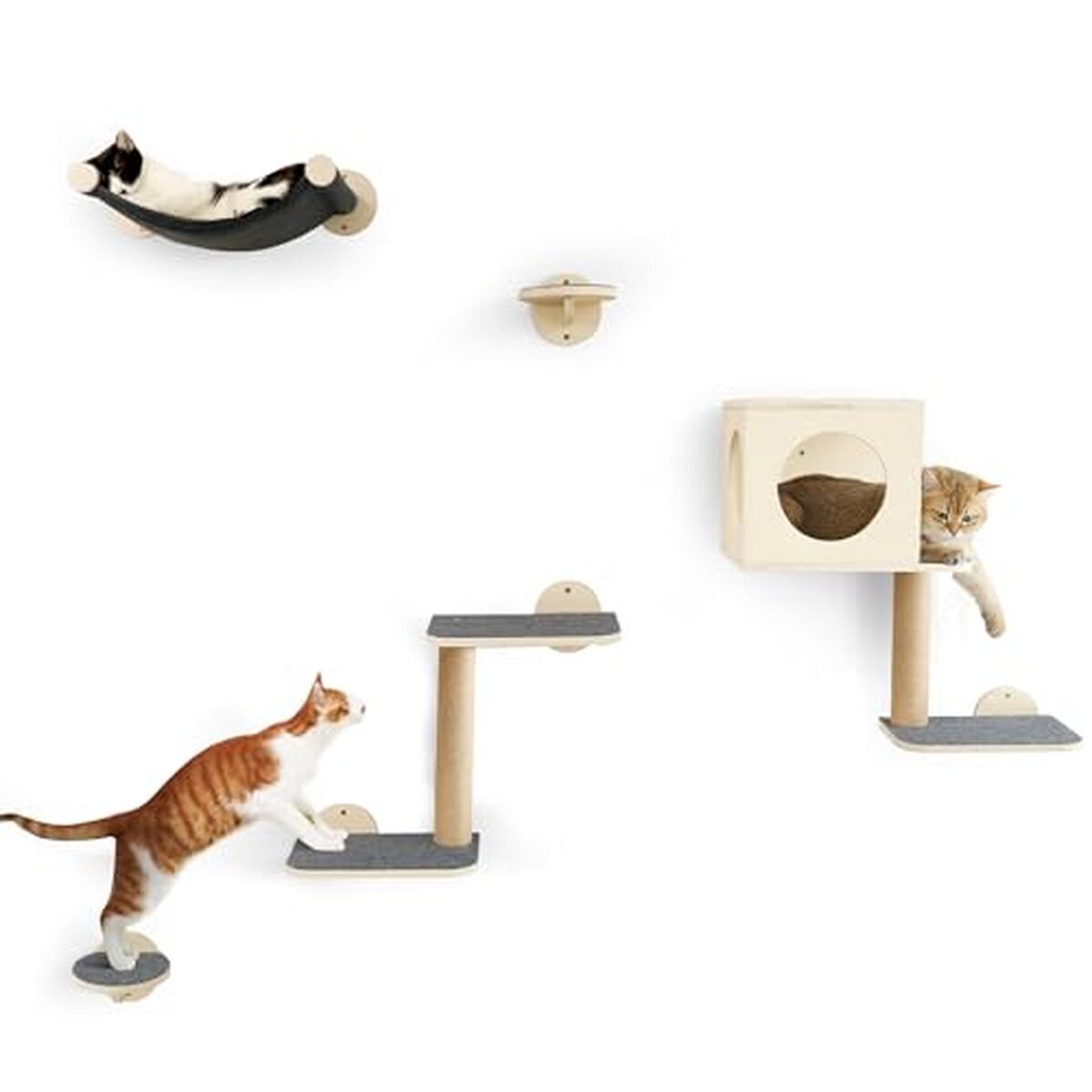 Test des étagères murales pour chat FUKUMARU : ensemble de 5 pièces pratiques et robustes