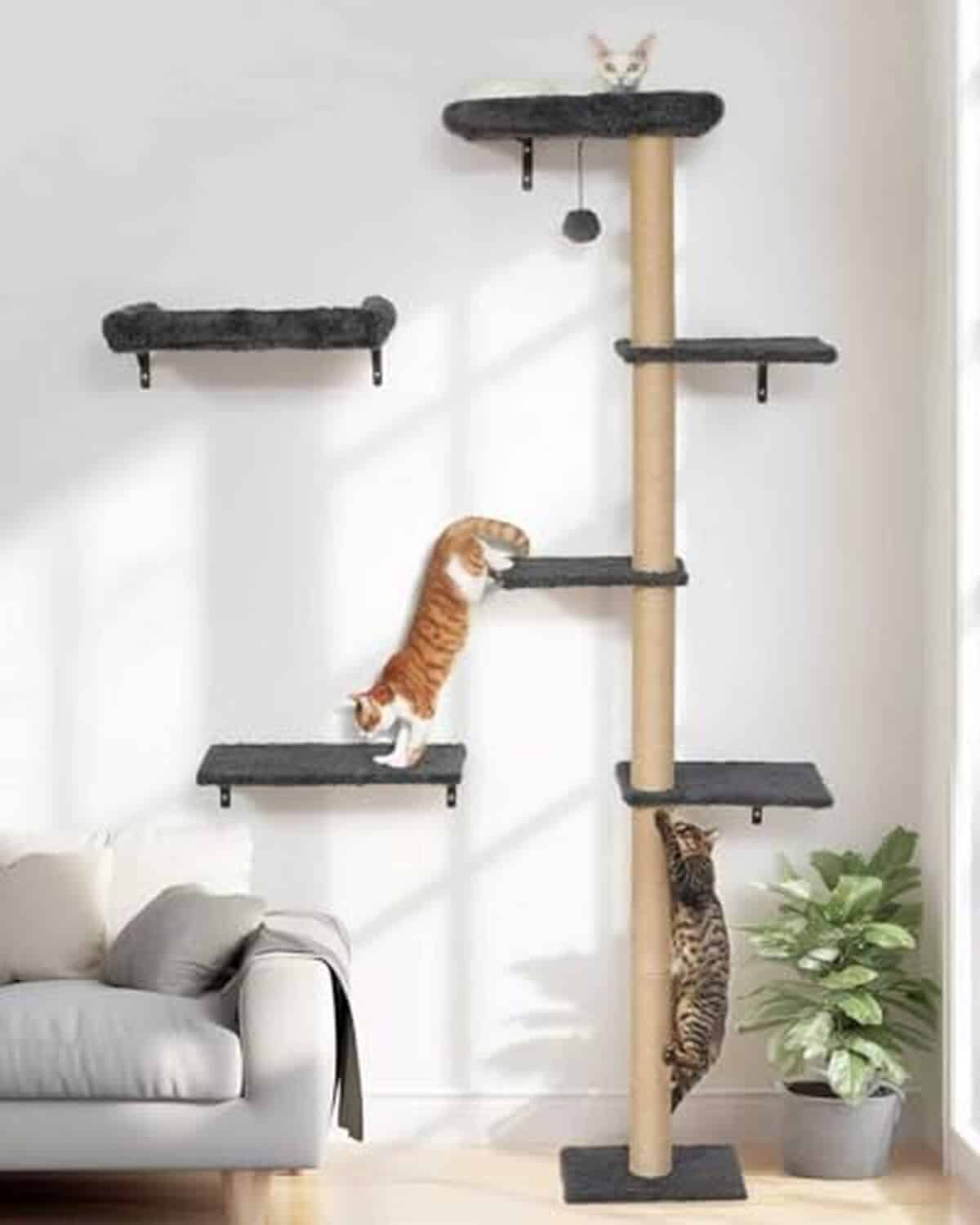 Test des étagères murales pour chats FUKUMARU : mur d'escalade avec grattoir et perche coussinée