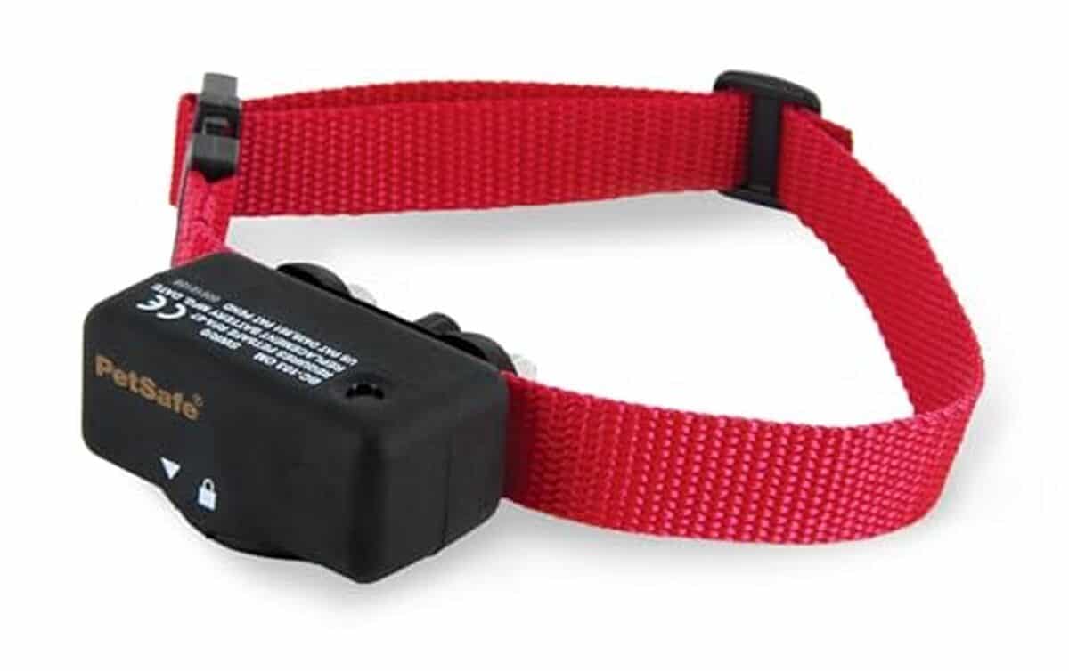 Test du collier anti-aboiements PetSafe : efficacité et légèreté