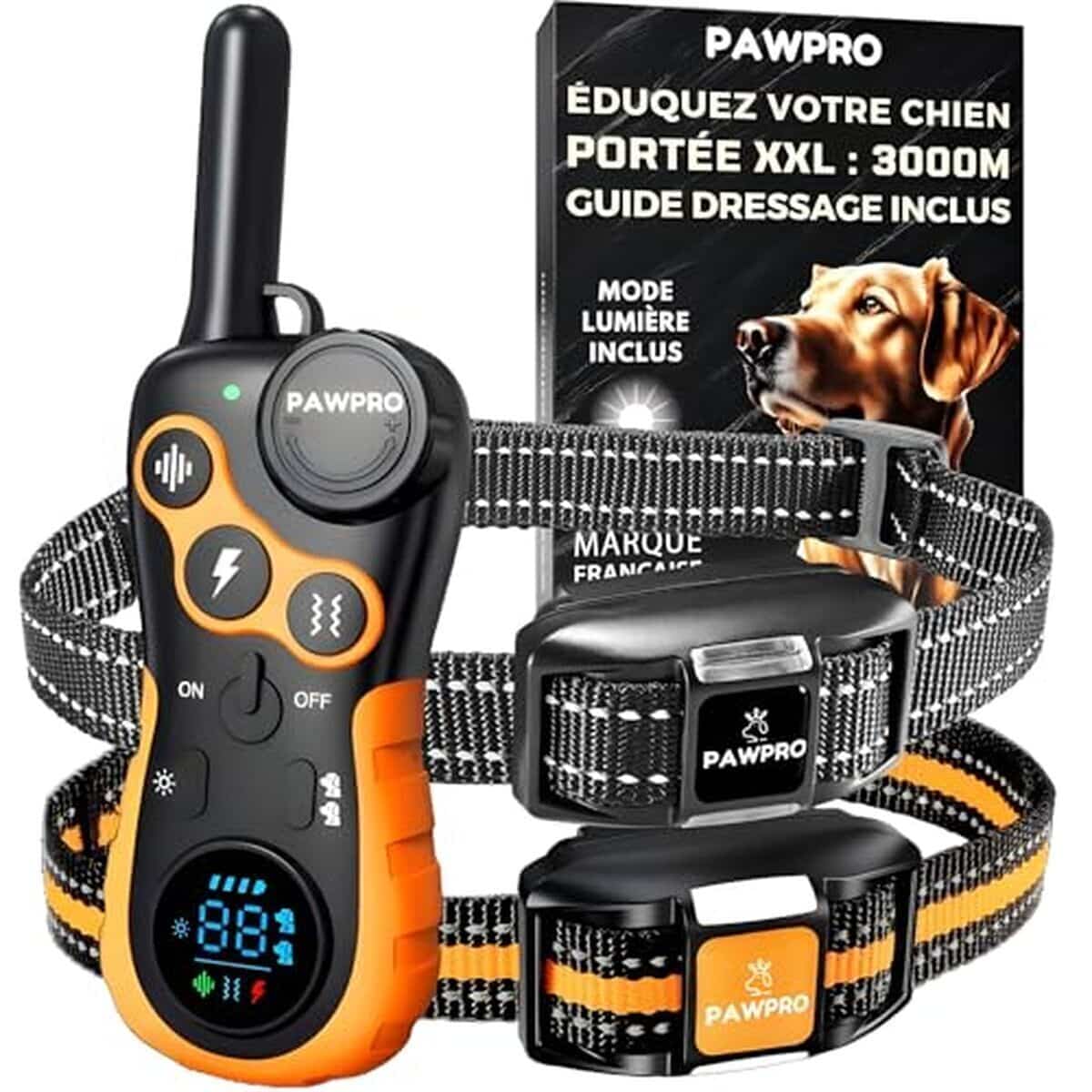 Test du collier de dressage Pawpro : portée 3 km et 124 niveaux d'entraînement
