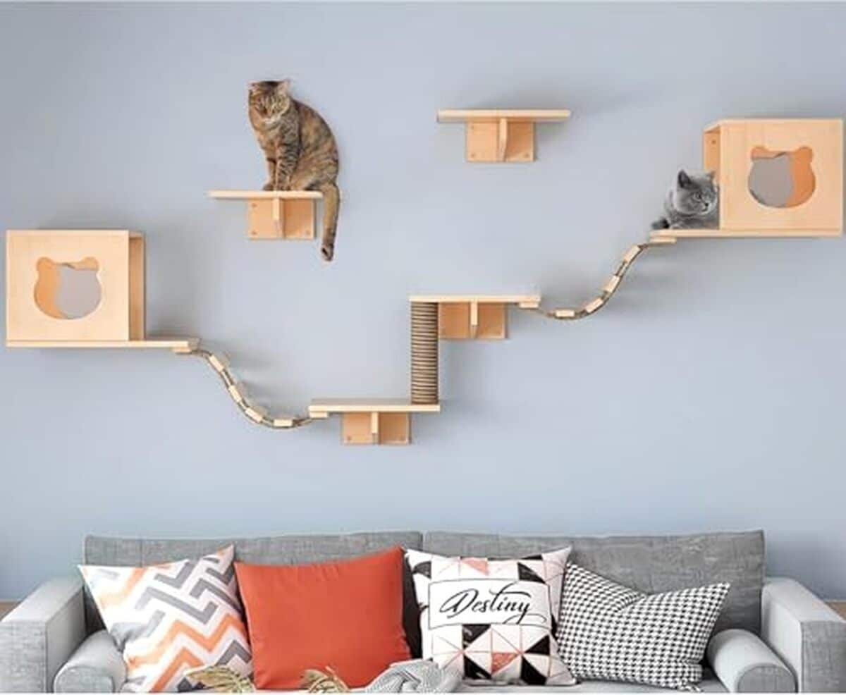 Test Hanured mur d'escalade pour chats : étagères murales et accessoires en bois