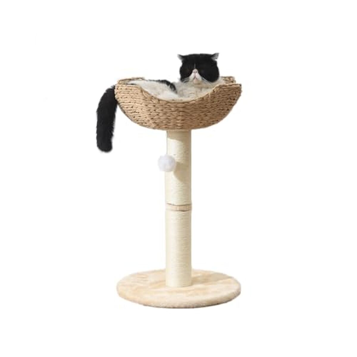 Test : shengoCase petit arbre à chat pour grands félins