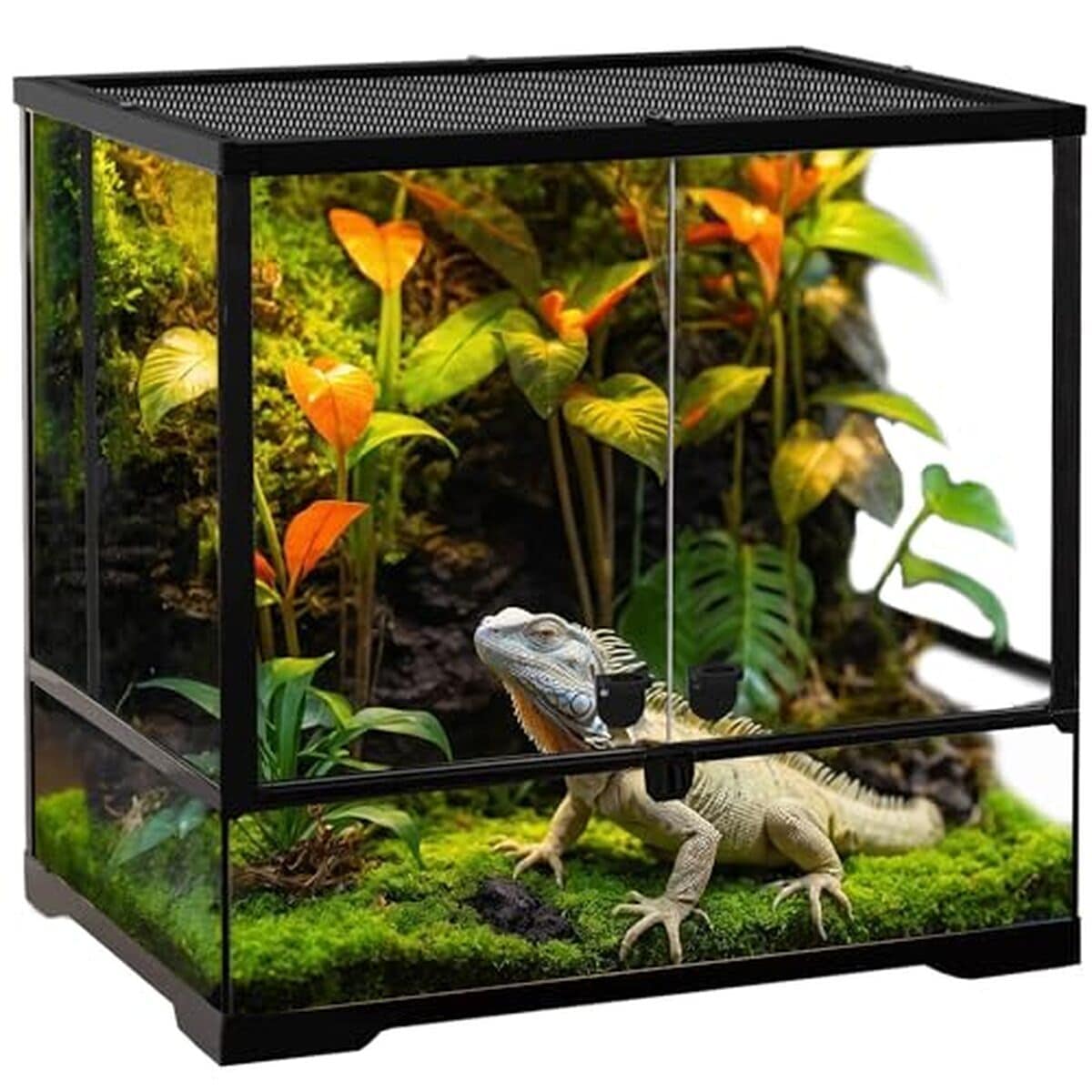 Test : terrarium 32 gallons Neptonion, habitat durable pour reptiles
