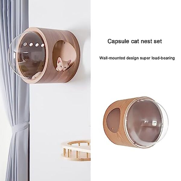 Découvrez notre avis détaillé sur le cadre mural d'escalade Imidia style 1 pour chat : design, fonctionnalités et avantages pour vos compagnons félins