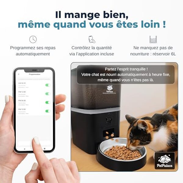Découvrez comment le distributeur PetCam révolutionne l'alimentation et la surveillance de votre chat à distance et simplifie votre quotidien