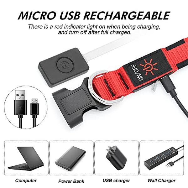 Découvrez notre test du collier lumineux BSEEN rouge rubis pour chien, un accessoire essentiel pour garantir sa sécurité lors des balades nocturnes.