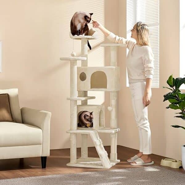 Découvrez notre analyse détaillée de l'arbre à chat Yaheetech 158 cm : un choix idéal pour le bien-être et l'amusement de votre chat, avec une construction solide et des matériaux de qualité