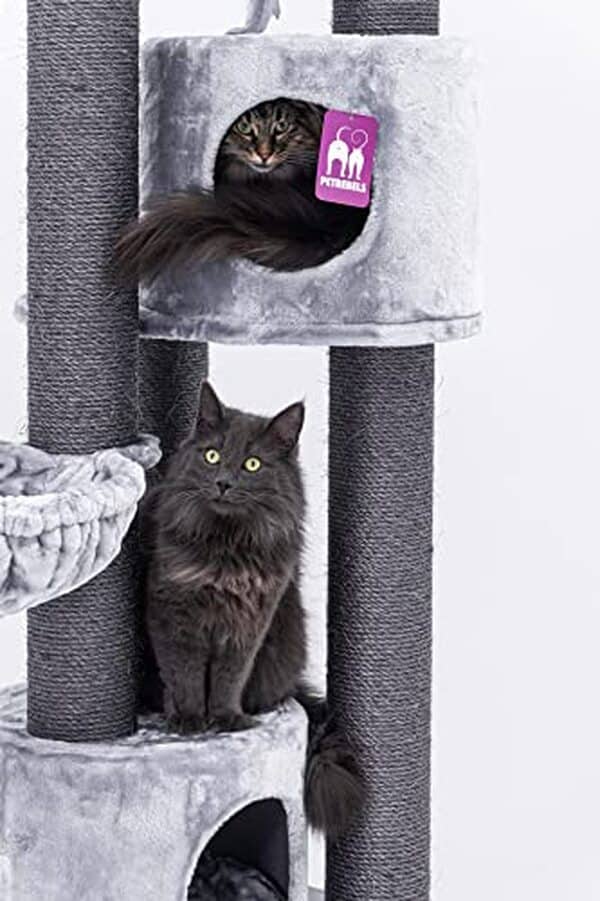 Découvrez notre analyse détaillée de l'arbre à chat Petrebels Charlotte 180 cm : un mobilier pour chats comprenant un sofa XL, des niches spacieuses et un hamac confortable pour le bien-être de votre félin.