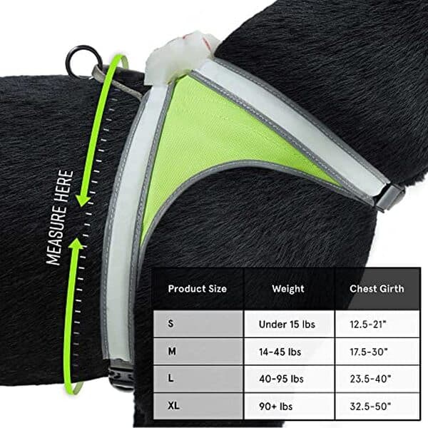 Découvrez notre test complet de la veste LED réfléchissante noxgear lighthound pour assurer la sécurité nocturne de votre chien tout en conservant son style.