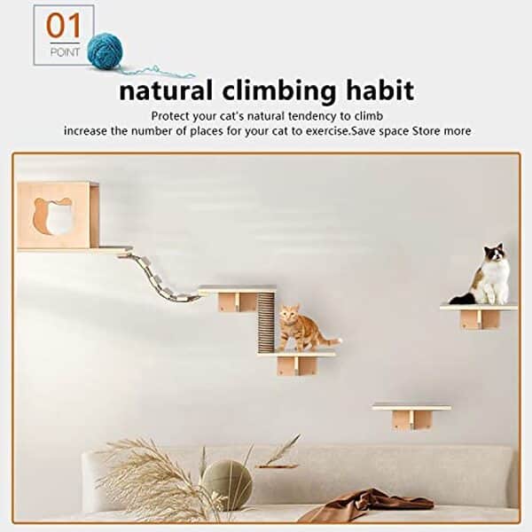 Découvrez notre analyse détaillée sur le kit de 7 pièces d'étagères murales pour chat. Explorez la niche confortable et les griffoirs en sisal pour le plaisir et le bien-être de votre félin.