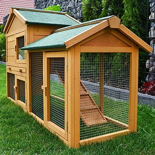 Découvrez notre test détaillé de la cage clapier extérieure en bois de pin 145x53x86 cm : évaluation de la qualité, durabilité, et confort pour offrir à vos animaux un habitat naturel et sécurisé