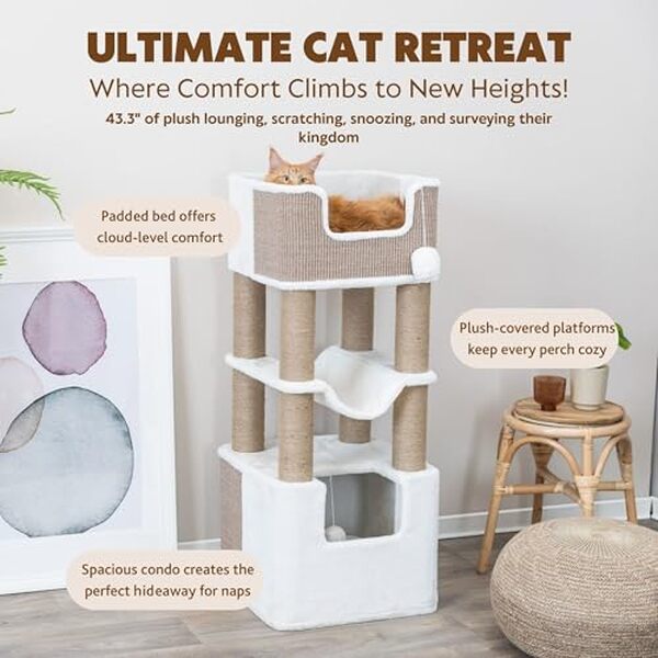 Découvrez notre test détaillé de l'arbre à chat Lucano 110 cm de Trixie : caractéristiques, avantages et conseils pour un choix éclairé pour votre félin