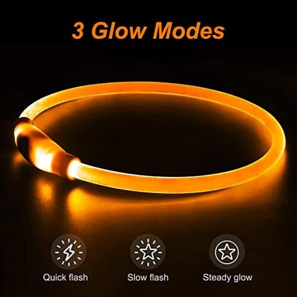 Découvrez notre avis sur le collier lumineux DEL rechargeable USB pour chien : choisissez le meilleur accessoire pour des promenades nocturnes sécurisées et tendance