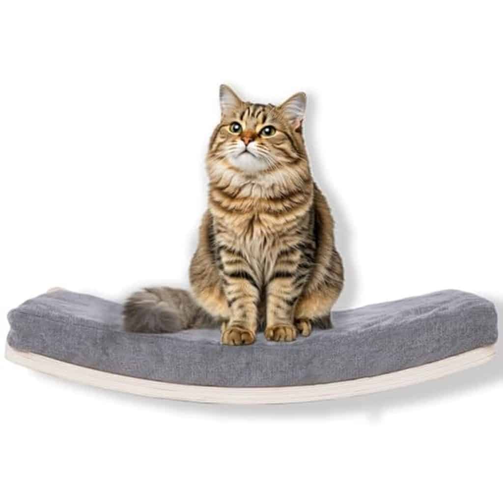 Avis : étagères murales pour chat COOLEX, confort et style