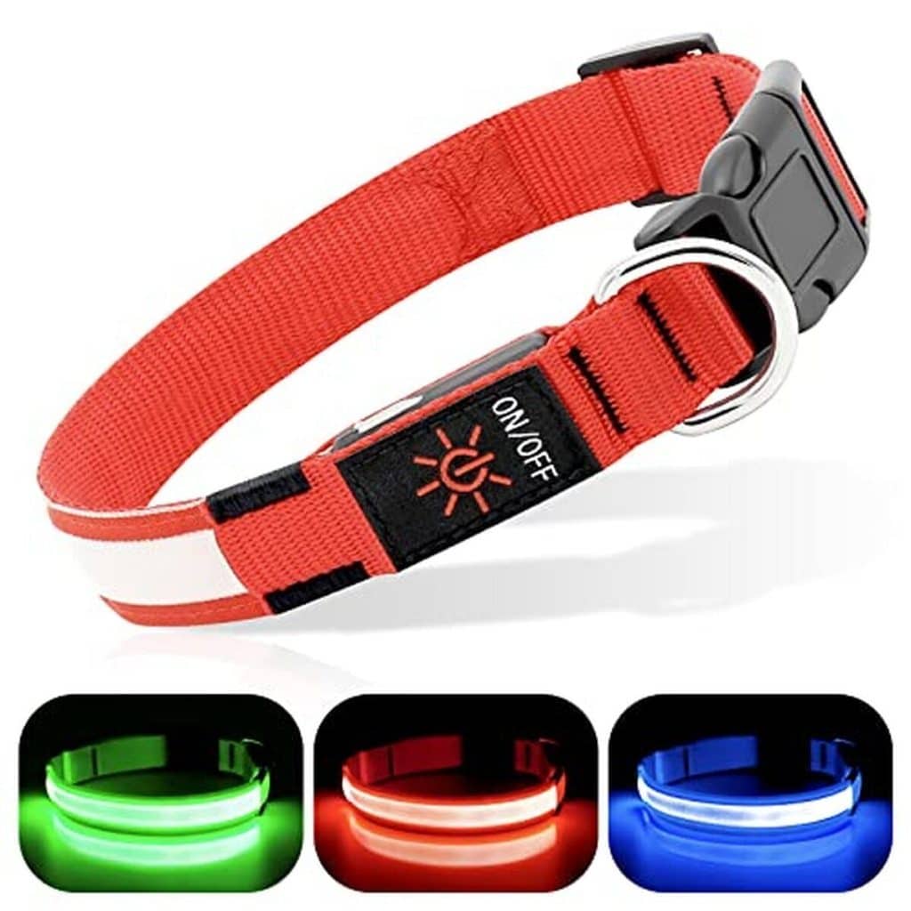 Avis sur le collier lumineux BSEEN pour chien : sécurité nocturne rouge rubis