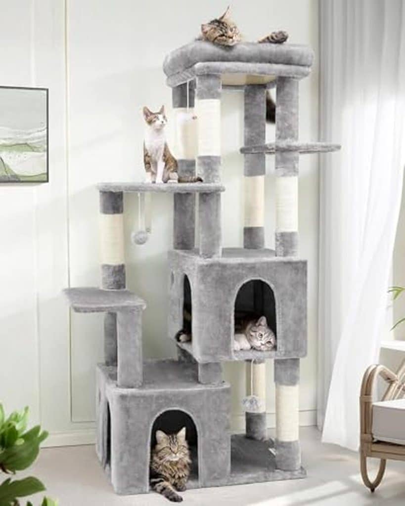 Test : arbre à chat Globlazer F61 pour gros maine coon