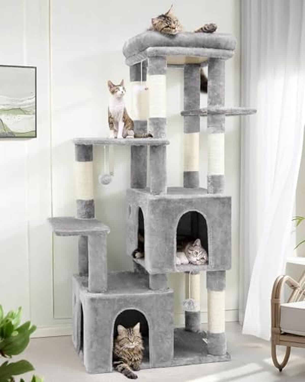 Test : arbre à chat Globlazer F61 pour gros maine coon