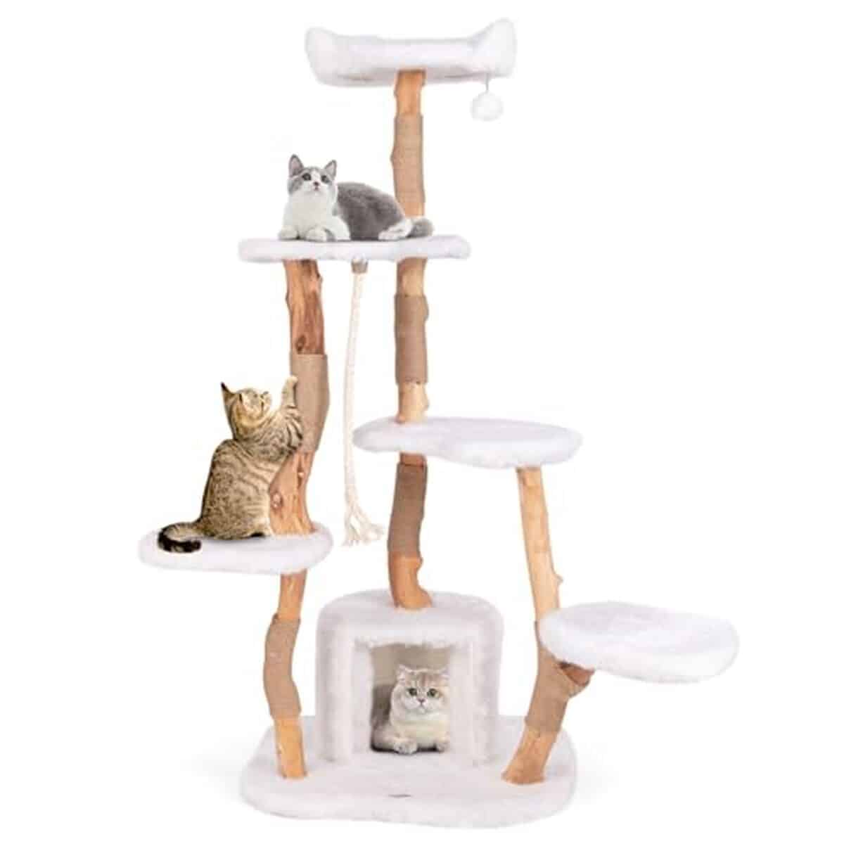 Test : arbre à chat XXL Costway 168 cm, un paradis pour vos félins