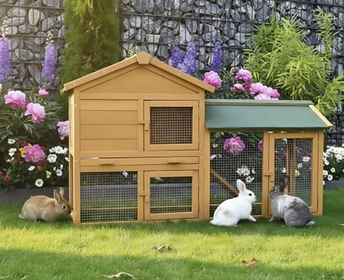 Test de la cage clapier extérieure en bois de pin 145x53x86 cm