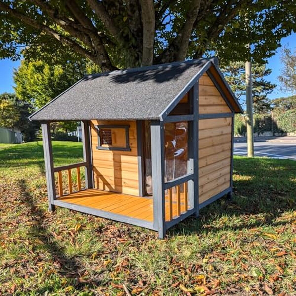 Test de la niche chalet Saint Bernard V2 taille XL