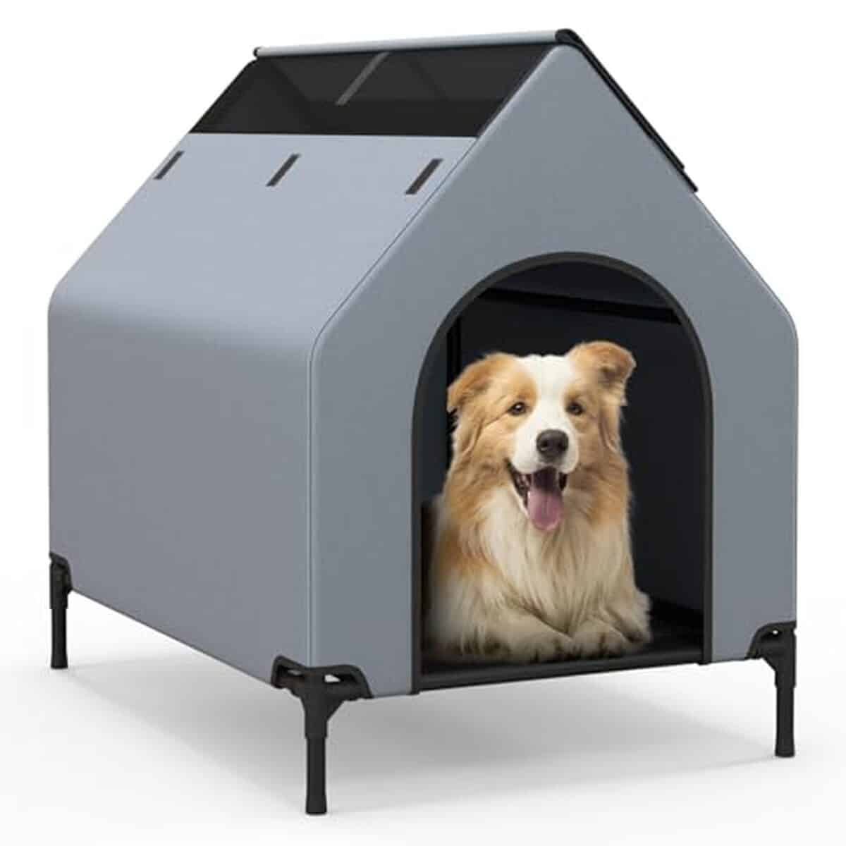 Test de la niche COSTWAY : confort et praticité pour les petits chiens