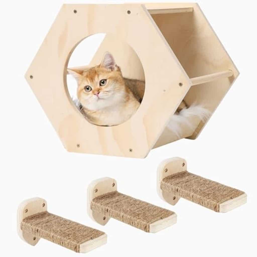 Test de l'étagère murale COOLEX avec griffoir intégré pour chat