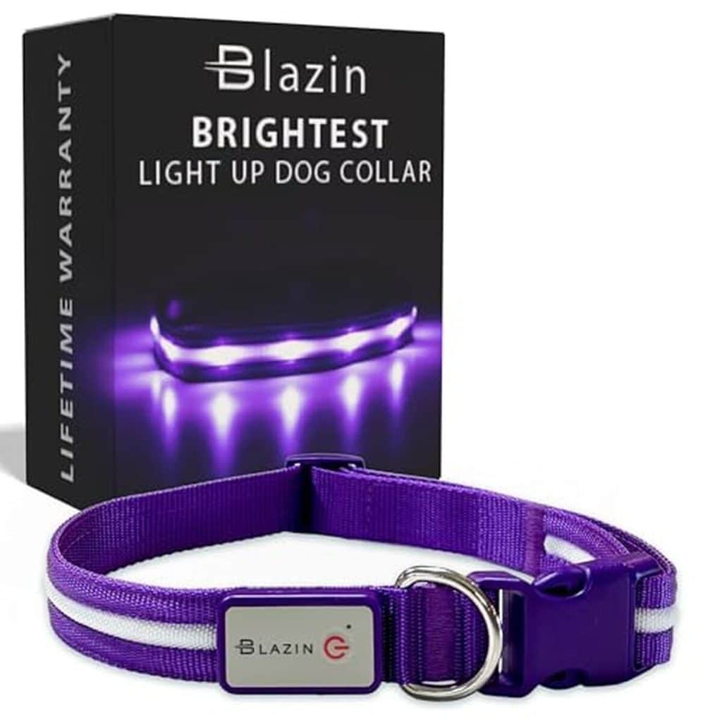 Test du collier lumineux Blazin' Bison mauve moyen