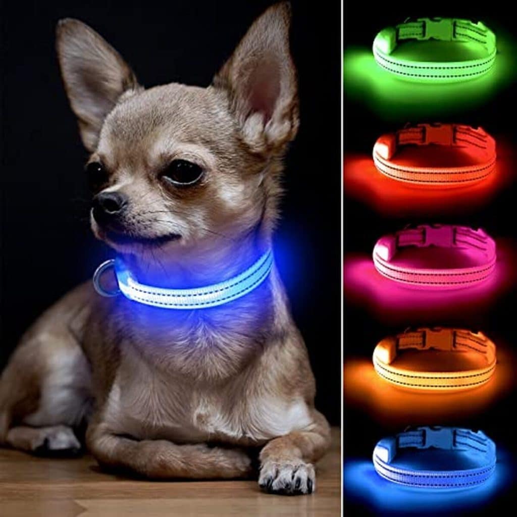 Test du collier lumineux BSEEN pour animaux : sécurité nocturne parfaite