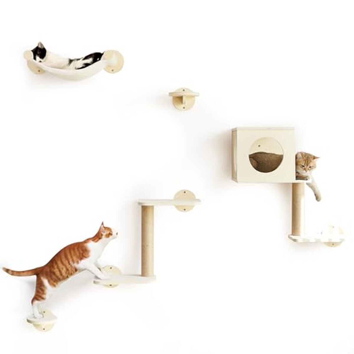 Test : fUKUMARU étagères murales pour chat, set de 5 meubles en bois avec hamac