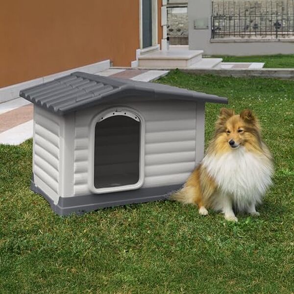 Découvrez notre test détaillé de la niche Ferplast Dogvilla 70 : confort optimal et durabilité pour vos chiens en extérieur.