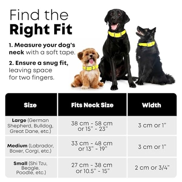 Découvrez notre avis sur le collier et la laisse Regal Dog, alliant robustesse et esthétique pour les grands chiens. Offrez à votre fidèle compagnon un maximum de confort et de style lors de vos promenades.