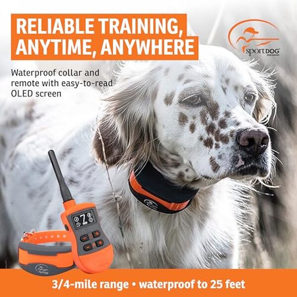 Découvrez notre analyse détaillée du collier de dressage SportDOG SportTrainer : performance et portée à couper le souffle pour éduquer votre chien.