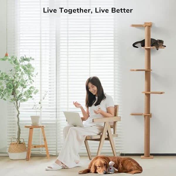 Découvrez l'arbre à chat mural FUKUMARU 205 cm, une solution idéale pour votre félin avec ses 5 étages. Consultez notre test et avis complet pour un espace félin optimisé.