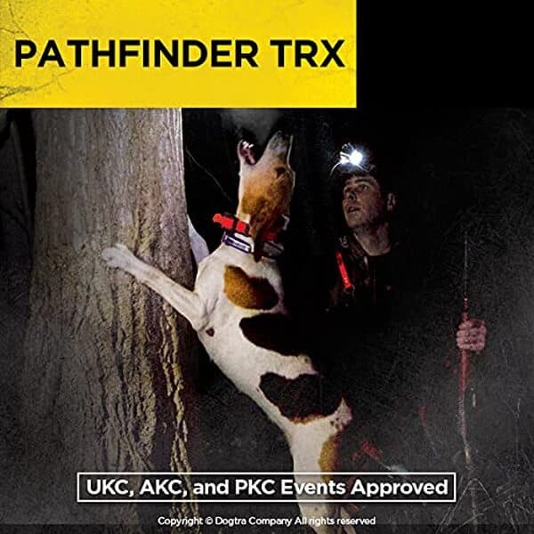 Découvrez notre test complet du récepteur GPS Dogtra Pathfinder TRX 9 miles pour chien : performance, précision et conseils d'utilisation pour un traqueur GPS efficace et fiable.
