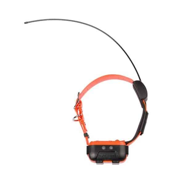 Découvrez notre évaluation du collier de localisation Num'axes Canicom GPS 2 : fiabilité, fonctionnalités et efficacité pour garder votre chien en sécurité