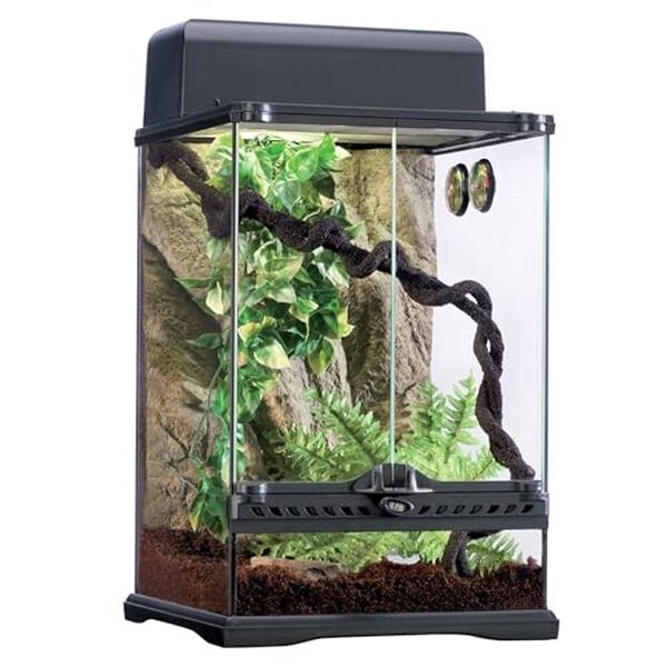 Découvrez l'analyse détaillée du vivarium Exo Terra PT2660, taille S, conçu pour recréer l'environnement tropical parfait pour vos reptiles et amphibiens.