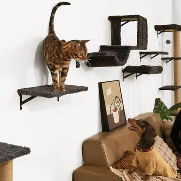 Découvrez notre analyse des étagères murales pour chat FUKUMARU, un produit innovant qui combine fonctionnalité et esthétique pour le plaisir de votre félin préféré.