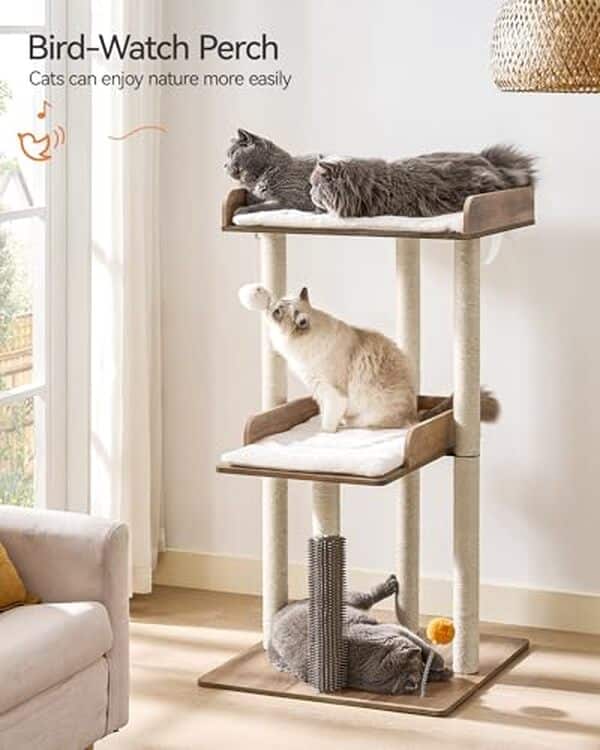 Découvrez notre test complet de l'arbre à chat FourFurPets 111 cm, la solution idéale pour les grands chats domestiques. Stabilité, confort et design : tous les détails du produit. 