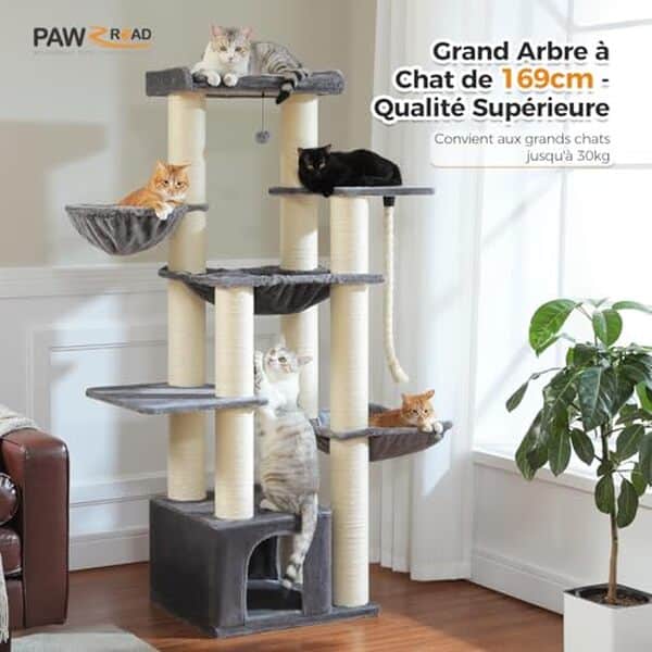 Découvrez notre test complet du PAWZ Road 169 cm : un grand arbre à chat multi-niveaux avec sisal XXL. Caractéristiques, avantages et avis des utilisateurs. 