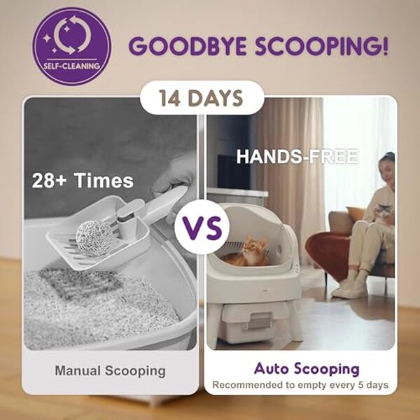 Découvrez le test complet du bac à litière auto-nettoyant PetPivot : idéal pour les grands chats et les foyers multi-chats. Performance, hygiène et praticité au rendez-vous. 